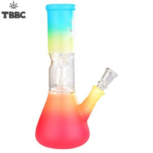 Rastafarian 8 inches Percolator Ice Bong - Glass Bong