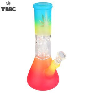 Rastafarian 8 inches Percolator Ice Bong - Glass Bong