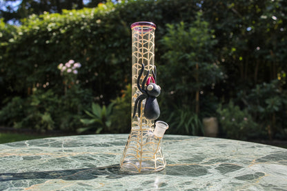 spider web most unique bongs india instant delivery delhi ncr